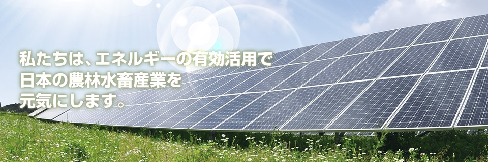 農村エナジー株式会社