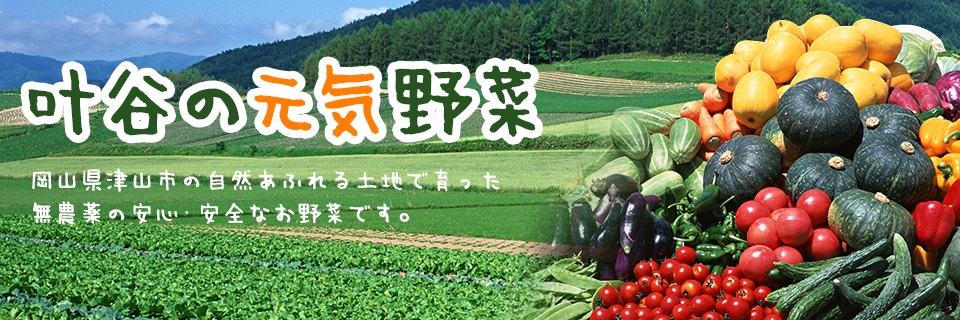 叶谷の元気野菜
